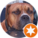 Rene Gieseke profile picture